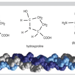 Do collagen supplements work?